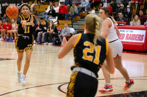 Article Image Alt Text