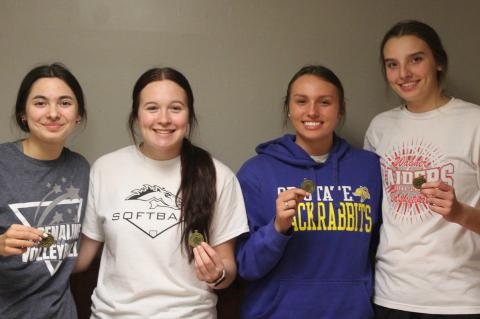 Article Image Alt Text