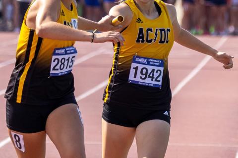 Article Image Alt Text