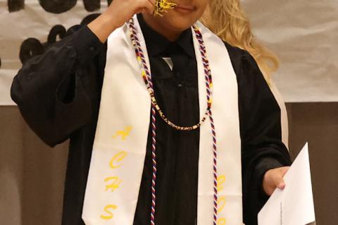 Article Image Alt Text