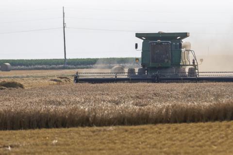 Article Image Alt Text