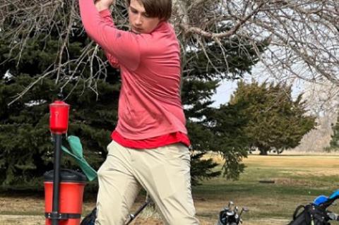 Article Image Alt Text