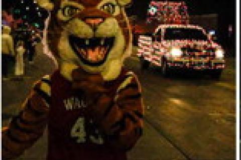 Article Image Alt Text