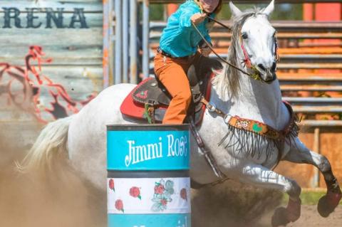 Article Image Alt Text