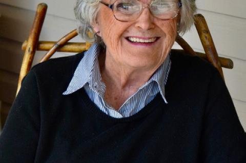 Article Image Alt Text