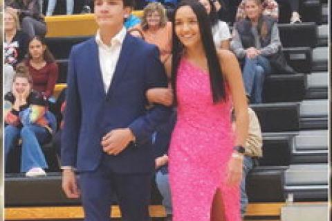 Article Image Alt Text