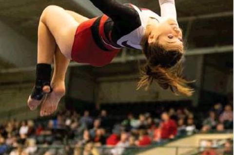 Article Image Alt Text