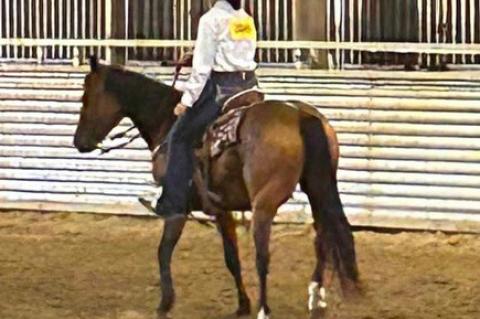 CHARLES MIX COUNTY 4-H HORSE SHOW