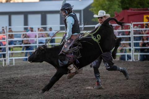 Article Image Alt Text