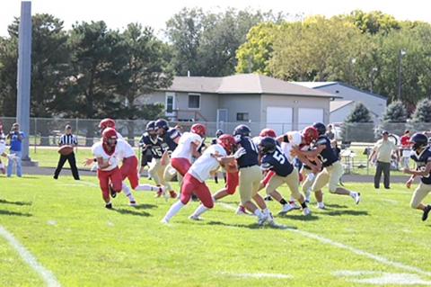 Article Image Alt Text