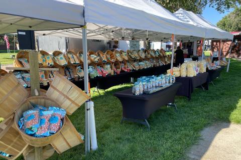 Article Image Alt Text