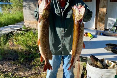 Article Image Alt Text