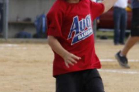 Article Image Alt Text