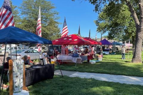 Article Image Alt Text