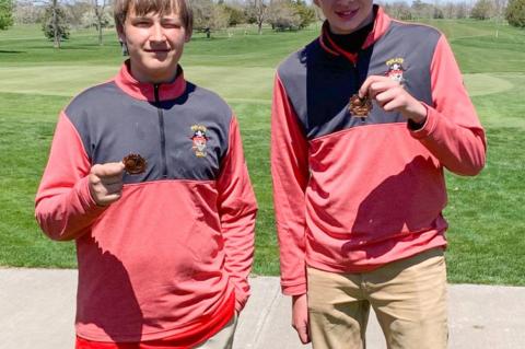 Article Image Alt Text