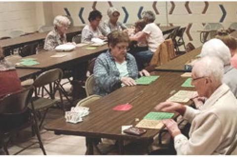 Article Image Alt Text