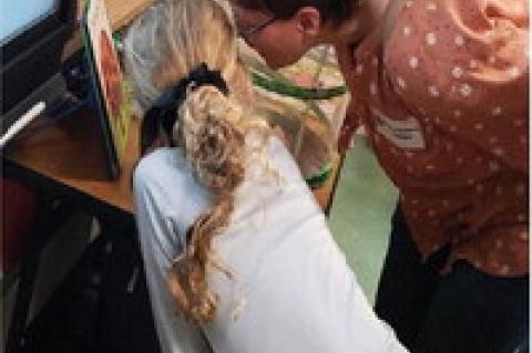 Article Image Alt Text