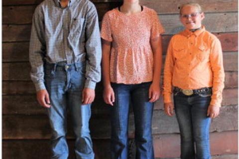 Article Image Alt Text