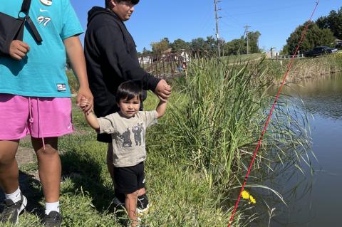 Article Image Alt Text