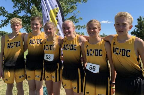 Article Image Alt Text