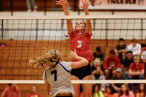 Article Image Alt Text