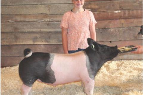 Article Image Alt Text