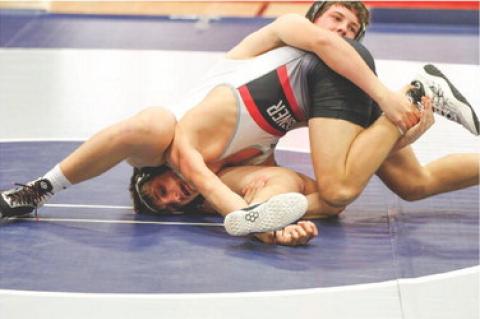 Article Image Alt Text