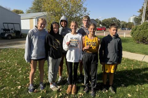 Article Image Alt Text