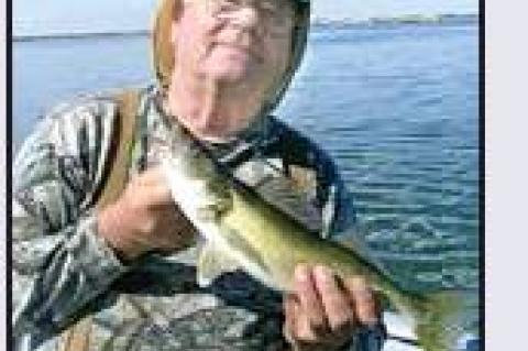 Article Image Alt Text