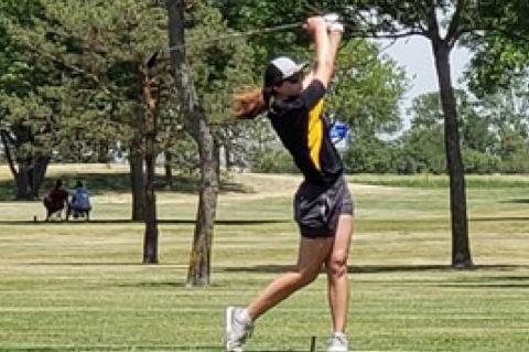 Article Image Alt Text