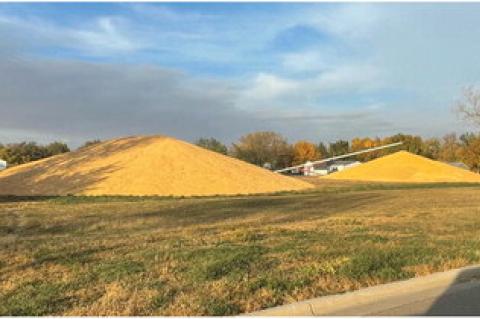 Article Image Alt Text