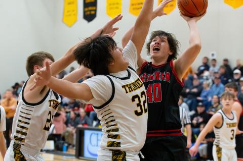 Article Image Alt Text