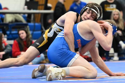 Article Image Alt Text