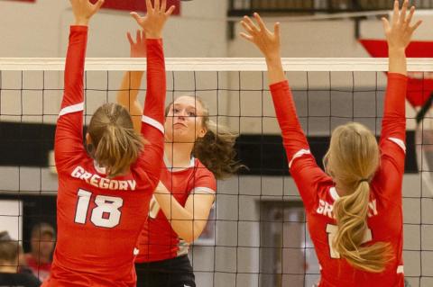 Article Image Alt Text