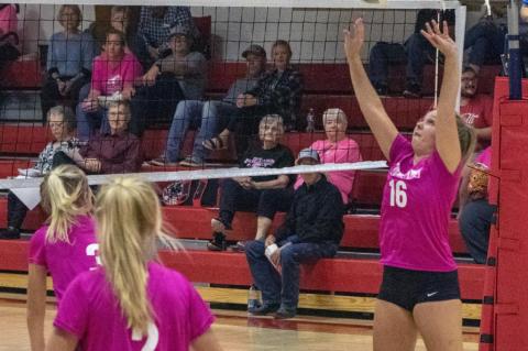 Article Image Alt Text