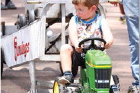 Article Image Alt Text