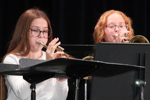 Article Image Alt Text