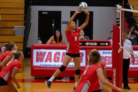 Article Image Alt Text