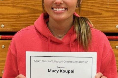 Article Image Alt Text