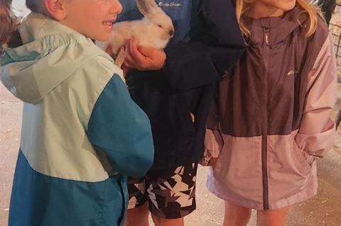 Article Image Alt Text