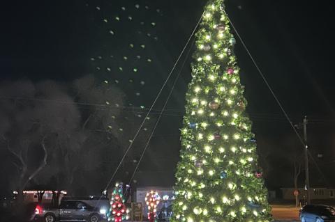 Article Image Alt Text