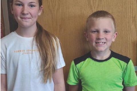 Article Image Alt Text