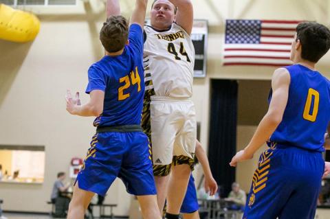 Article Image Alt Text