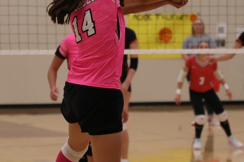 Article Image Alt Text