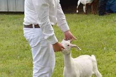 Article Image Alt Text