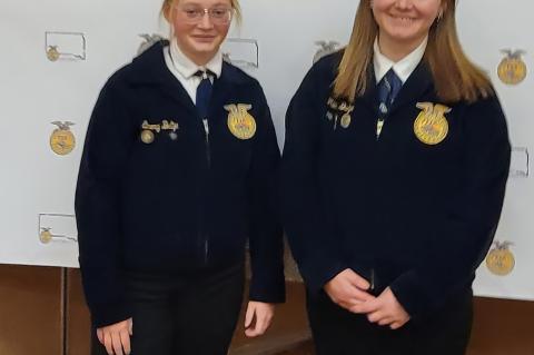 Article Image Alt Text