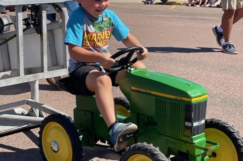 Article Image Alt Text