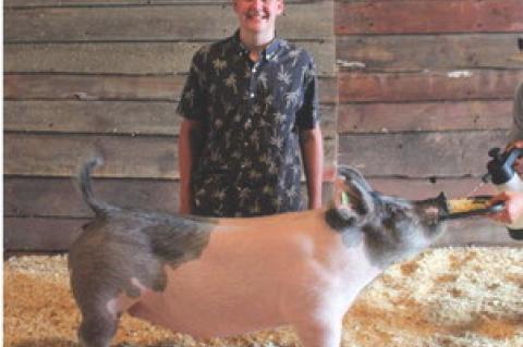 Article Image Alt Text