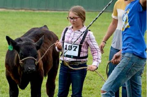 Article Image Alt Text