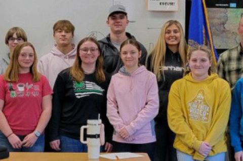 Article Image Alt Text